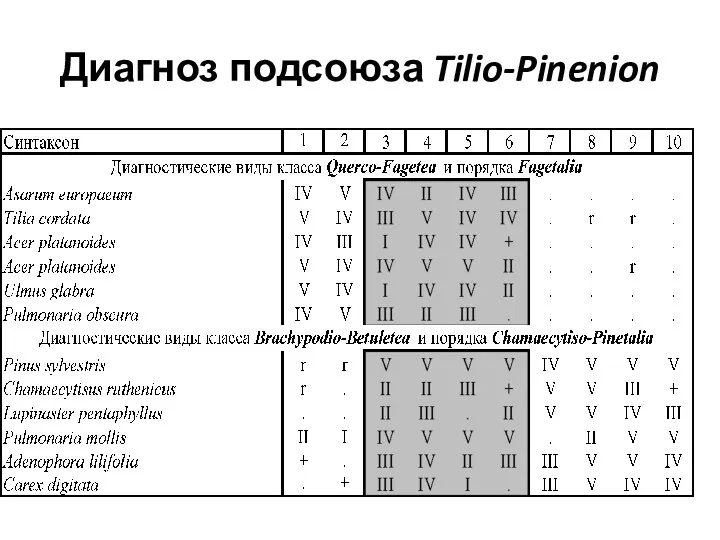 Диагноз подсоюза Tilio-Pinenion