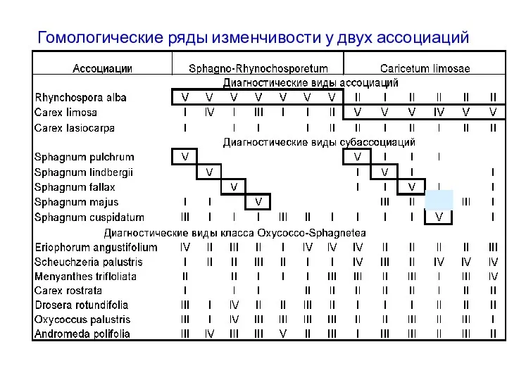 Гомологические ряды изменчивости у двух ассоциаций сфагновых болот класса Oxycocco-Sphagnetea