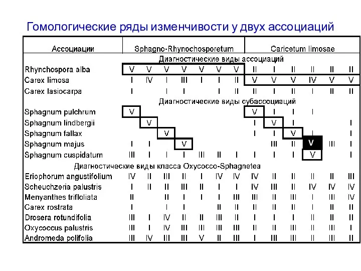 Гомологические ряды изменчивости у двух ассоциаций сфагновых болот класса Oxycocco-Sphagnetea V