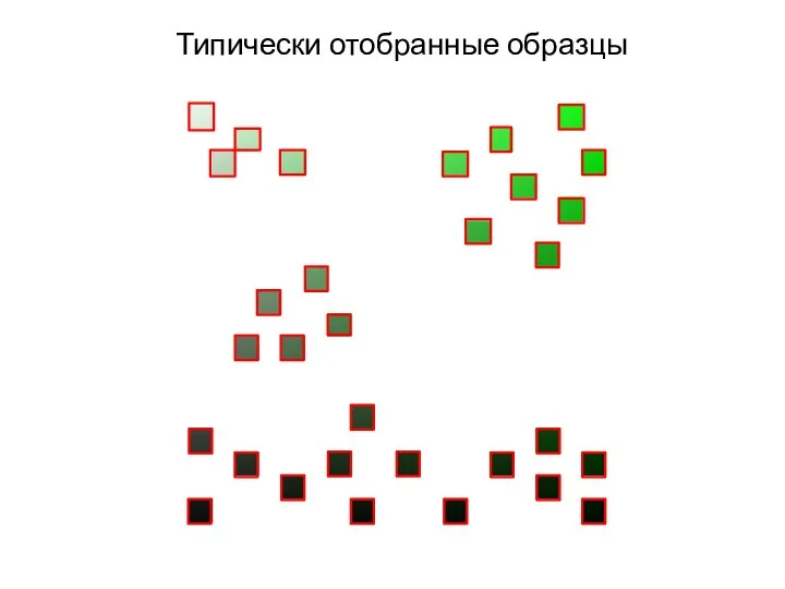 Типически отобранные образцы