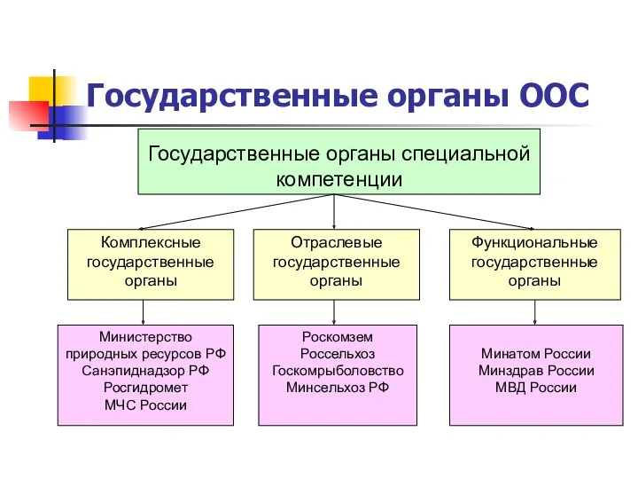 Государственные органы ООС Минатом России Минздрав России МВД России Комплексные