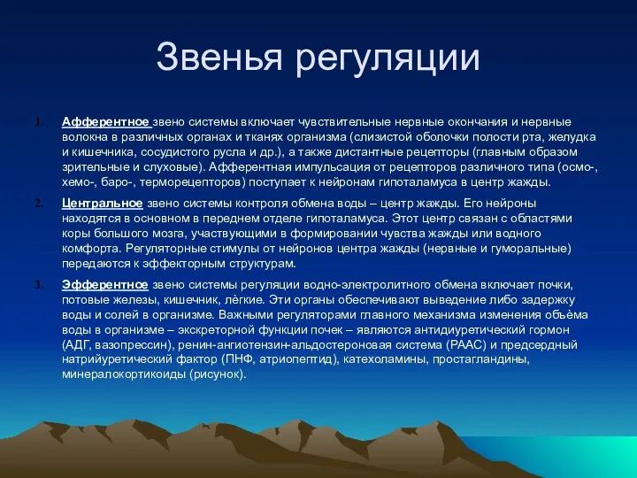 Звенья регуляции Афферентное звено системы включает чувствительные нервные окончания и