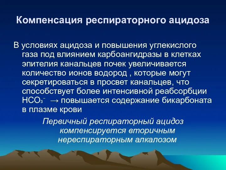 Компенсация респираторного ацидоза В условиях ацидоза и повышения углекислого газа