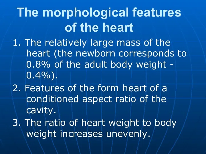 The morphological features of the heart 1. The relatively large