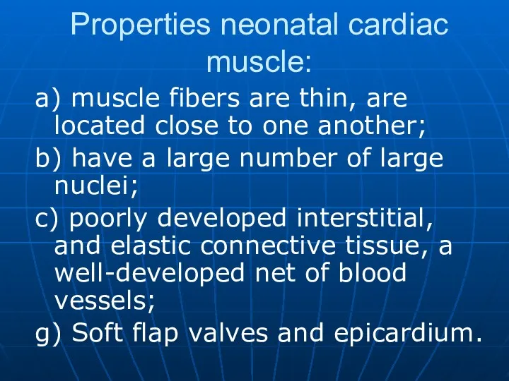 Properties neonatal cardiac muscle: a) muscle fibers are thin, are