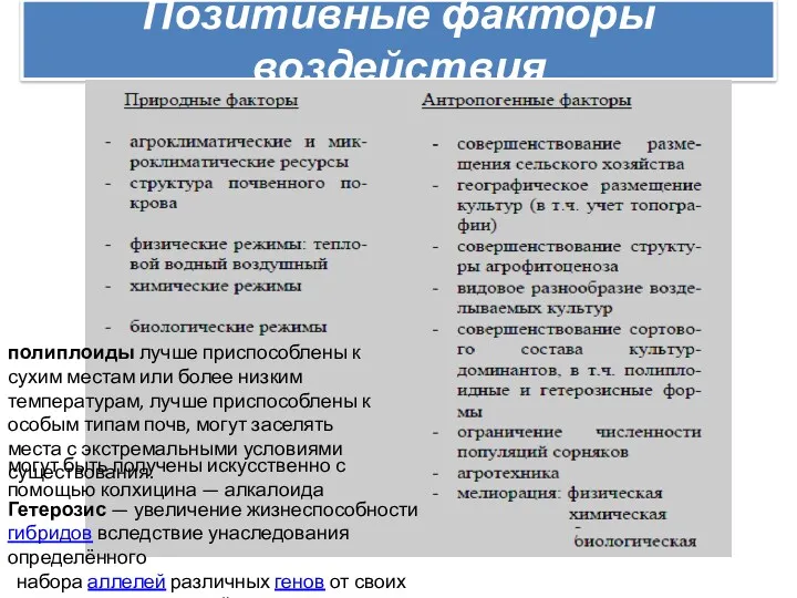 Позитивные факторы воздействия Гетерозис — увеличение жизнеспособности гибридов вследствие унаследования