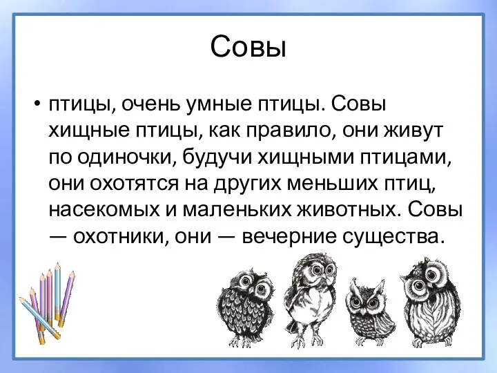 Совы птицы, очень умные птицы. Совы хищные птицы, как правило,