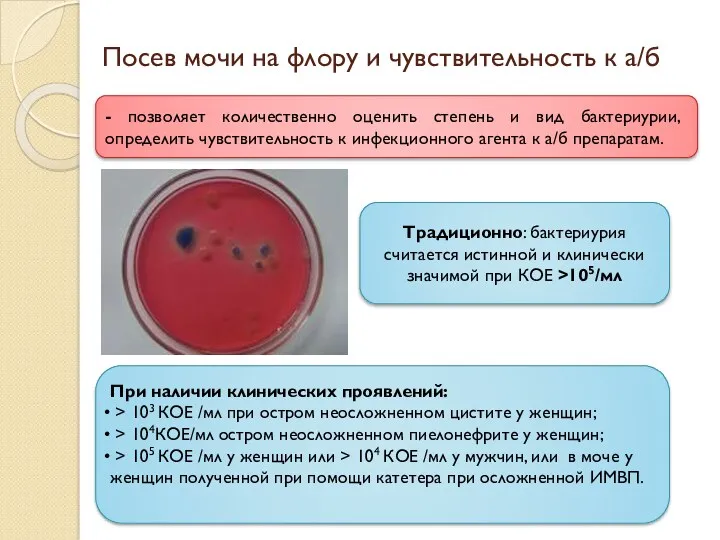 Посев мочи на флору и чувствительность к а/б Традиционно: бактериурия