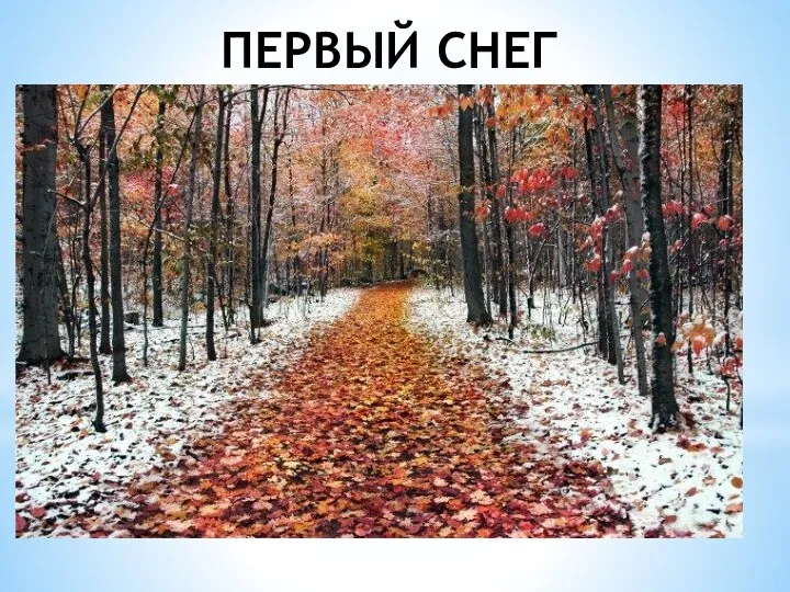 ПЕРВЫЙ СНЕГ