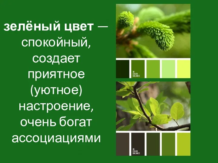 зелёный цвет — спокойный, создает приятное (уютное) настроение, очень богат ассоциациями