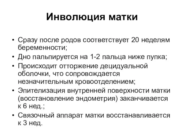 Сразу после родов соответствует 20 неделям беременности; Дно пальпируется на