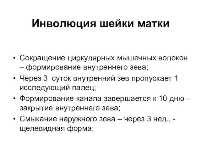 Сокращение циркулярных мышечных волокон – формирование внутреннего зева; Через 3