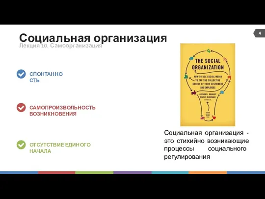 Социальная организация СПОНТАННОСТЬ САМОПРОИЗВОЛЬНОСТЬ ВОЗНИКНОВЕНИЯ ОТСУТСТВИЕ ЕДИНОГО НАЧАЛА Лекция 10.