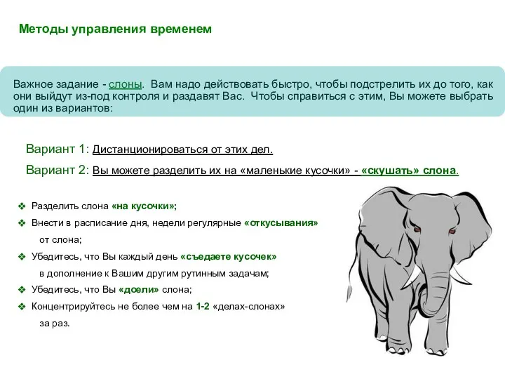 Важное задание - слоны. Вам надо действовать быстро, чтобы подстрелить