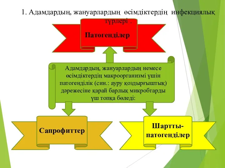 Сапрофиттер Патогенділер Шартты-патогенділер Адамдардың, жануарлардың немесе өсімдіктердің макроорганизмі үшін патогенділік