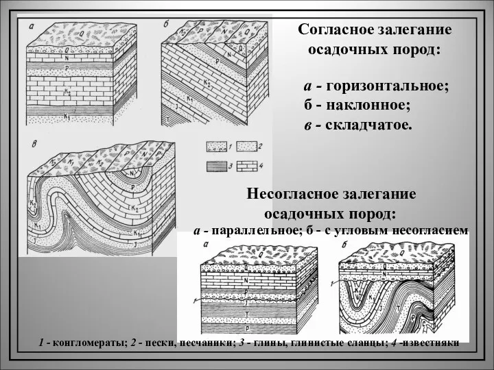 Согласное залегание осадочных пород: Несогласное залегание осадочных пород: а -