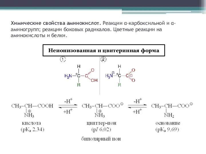 Химические свойства аминокислот. Реакции α-карбоксильной и α-аминогрупп; реакции боковых радикалов.