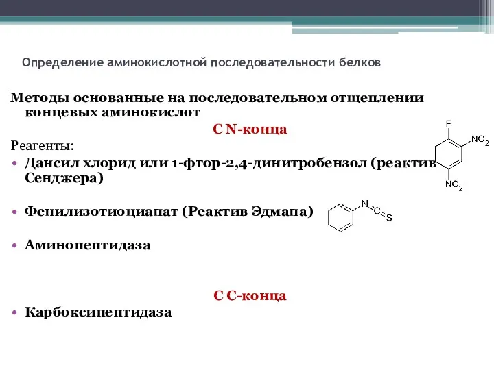 Определение аминокислотной последовательности белков Методы основанные на последовательном отщеплении концевых