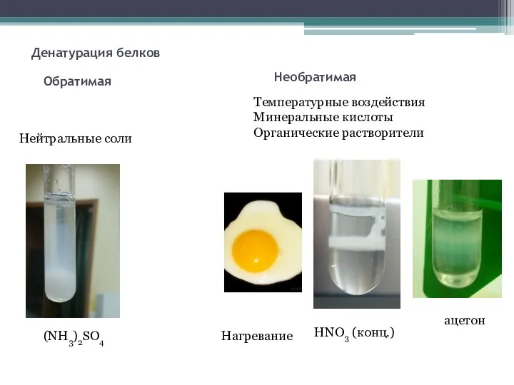 Денатурация белков (NH3)2SO4 HNO3 (конц.) ацетон Обратимая Необратимая Температурные воздействия