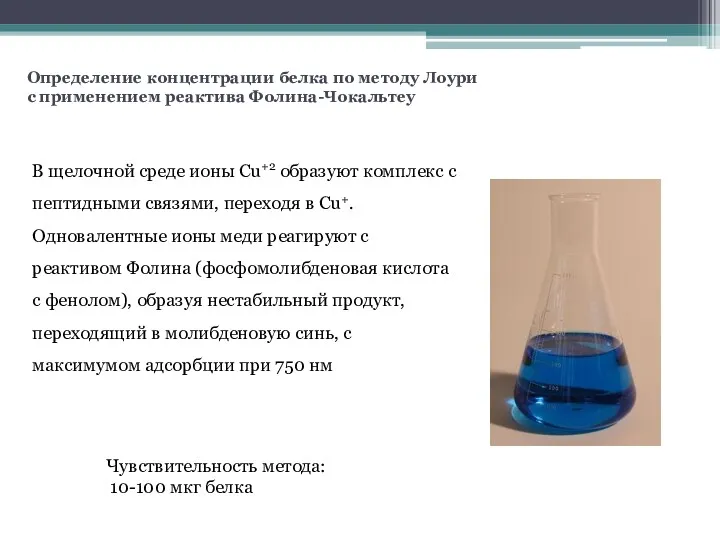 Определение концентрации белка по методу Лоури с применением реактива Фолина-Чокальтеу