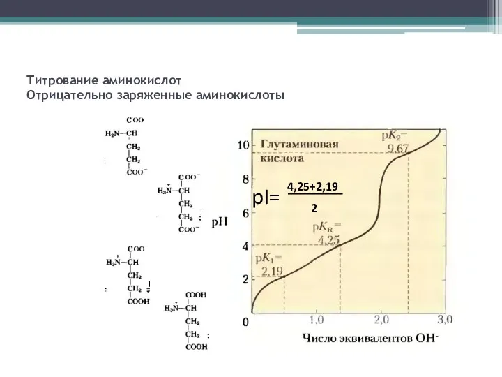 Титрование аминокислот Отрицательно заряженные аминокислоты 4,25+2,19 2 pI=