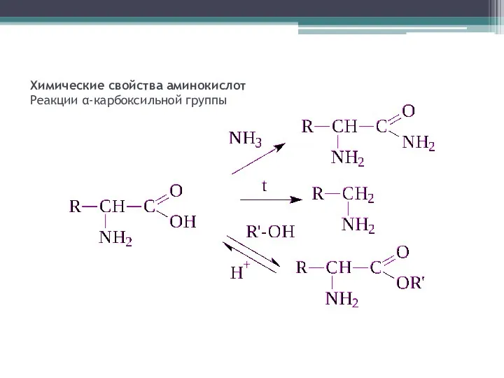 Химические свойства аминокислот Реакции α-карбоксильной группы