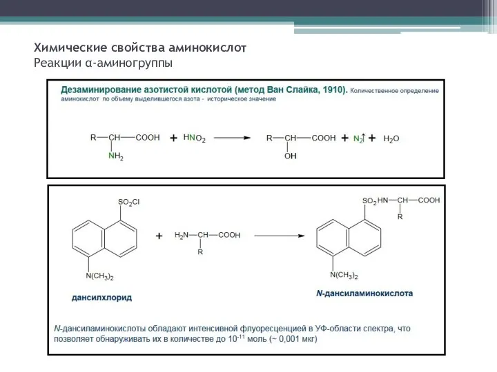 Химические свойства аминокислот Реакции α-аминогруппы