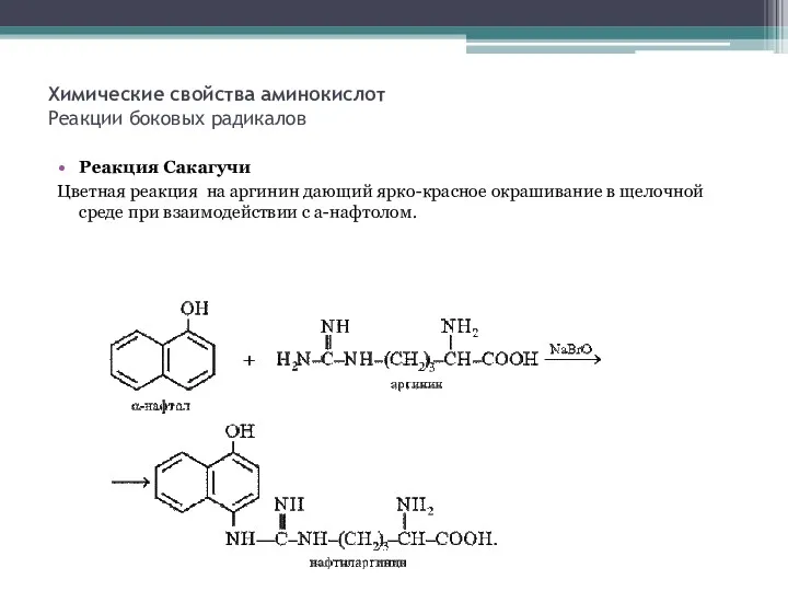Химические свойства аминокислот Реакции боковых радикалов Реакция Сакагучи Цветная реакция