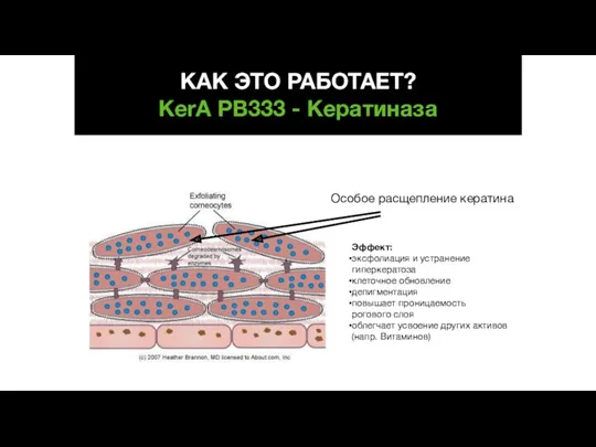 Особое расщепление кератина Эффект: эксфолиация и устранение гиперкератоза клеточное обновление