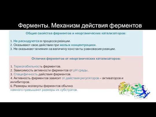 Общие свойства ферментов и неорганических катализаторов: 1. Не расходуются в