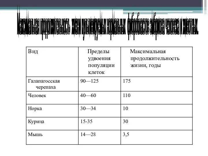 Максимальная продолжительность жизни культивируемых нормальных фибробластов эмбриона человека и животных.