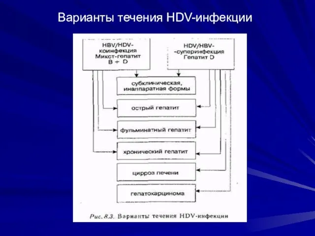 Варианты течения HDV-инфекции