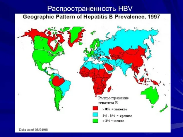 Распространенность HВV