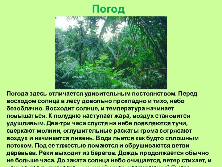 Погода. Погода здесь отличается удивительным постоянством. Перед восходом солнца в