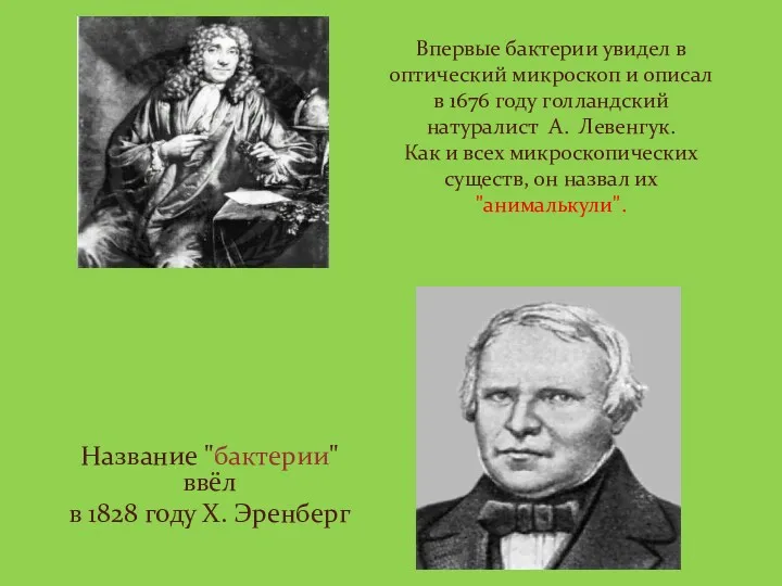 Впервые бактерии увидел в оптический микроскоп и описал в 1676