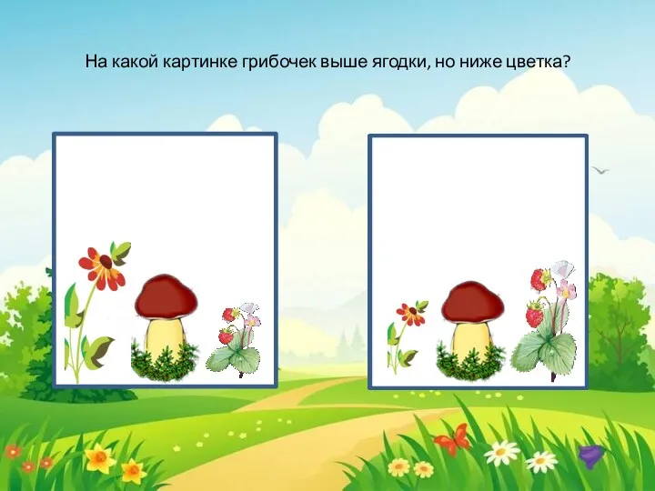 На какой картинке грибочек выше ягодки, но ниже цветка?