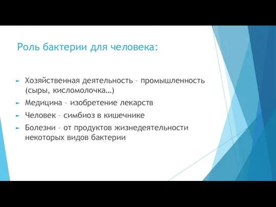 Роль бактерии для человека: Хозяйственная деятельность – промышленность (сыры, кисломолочка…)