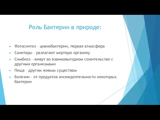 Роль Бактерии в природе: Фотосинтез – цианобактерии, первая атмосфера Санитары