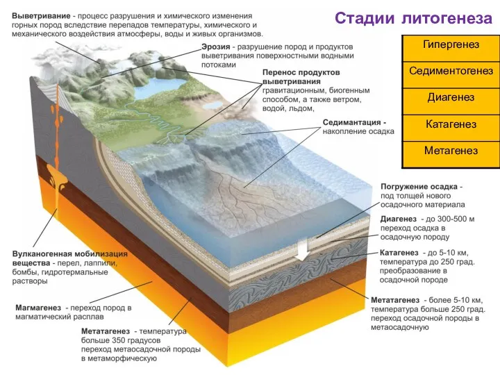 Стадии литогенеза