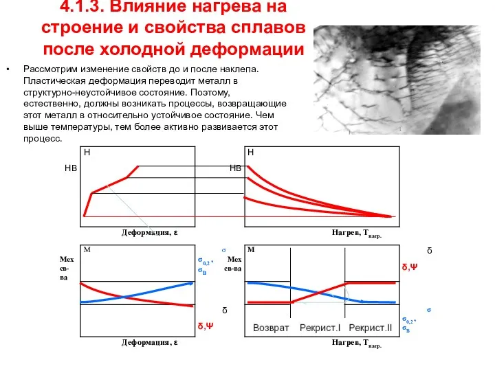 4.1.3. Влияние нагрева на строение и свойства сплавов после холодной