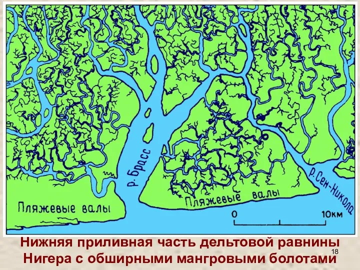 Нижняя приливная часть дельтовой равнины Нигера с обширными мангровыми болотами