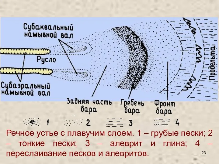 Устья рек с преобладанием эффекта плавучести образуются в тех местах,