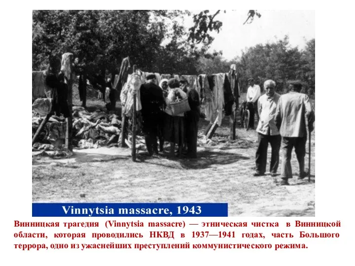 Винницкая трагедия (Vinnytsia massacre) — этническая чистка в Винницкой области,