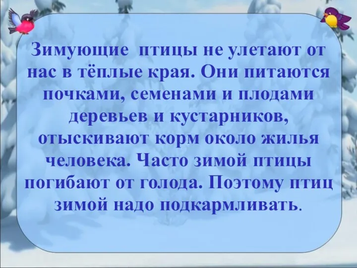 Зимующие птицы не улетают от нас в тёплые края. Они