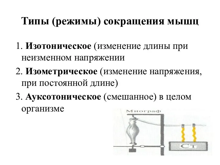 Типы (режимы) сокращения мышц 1. Изотоническое (изменение длины при неизменном