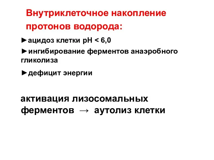 Внутриклеточное накопление протонов водорода: ►aцидоз клетки pH ►ингибирование ферментов анаэробного