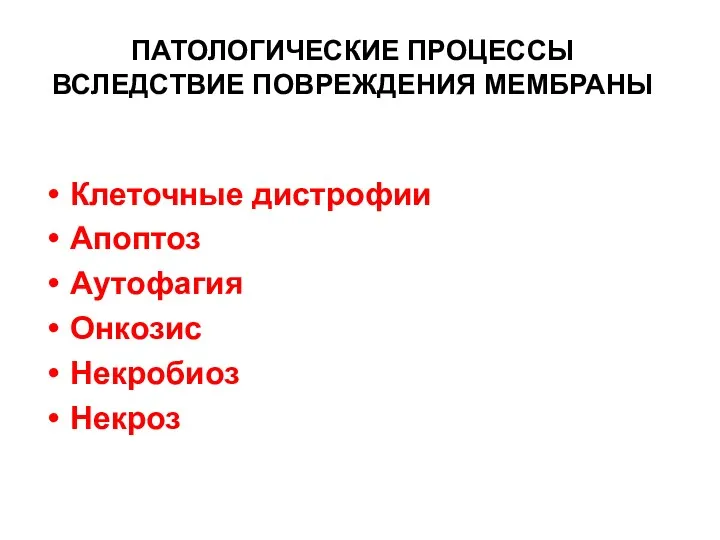 ПАТОЛОГИЧЕСКИЕ ПРОЦЕССЫ ВСЛЕДСТВИЕ ПОВРЕЖДЕНИЯ МЕМБРАНЫ Клеточные дистрофии Aпоптоз Аутофагия Онкозис Некробиоз Некроз