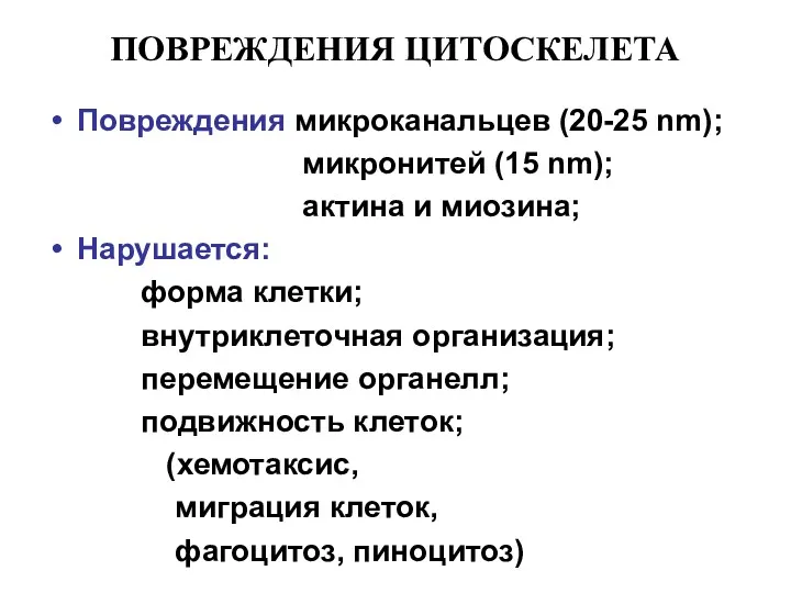 ПОВРЕЖДЕНИЯ ЦИТОСКЕЛЕТА Повреждения микроканальцев (20-25 nm); микронитей (15 nm); актина