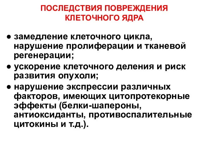 ПОСЛЕДСТВИЯ ПОВРЕЖДЕНИЯ КЛЕТОЧНОГО ЯДРА ● замедление клеточного цикла, нарушение пролиферации