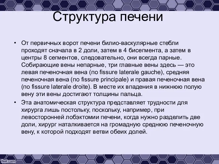 Структура печени От первичных ворот печени билио-васкулярные стебли проходят сначала